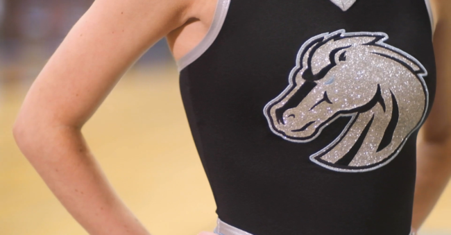 Clovis North High School Cheer Custom Costume